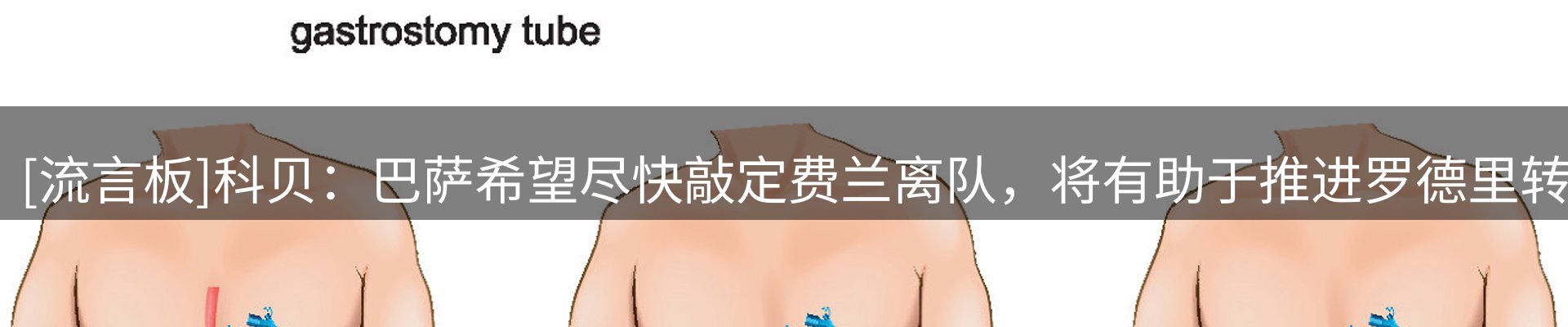 新闻资讯